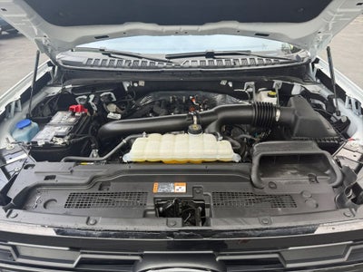 2025 Ford Expedition Active MAX